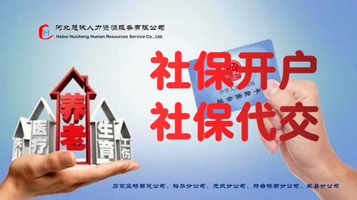 代理記賬與社保代理的完美結(jié)合 為您的進出口業(yè)務提供便捷可靠的支持