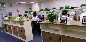 湖南企業(yè)管理咨詢行業(yè) 賦能企業(yè)成長，驅動區(qū)域經濟新篇章